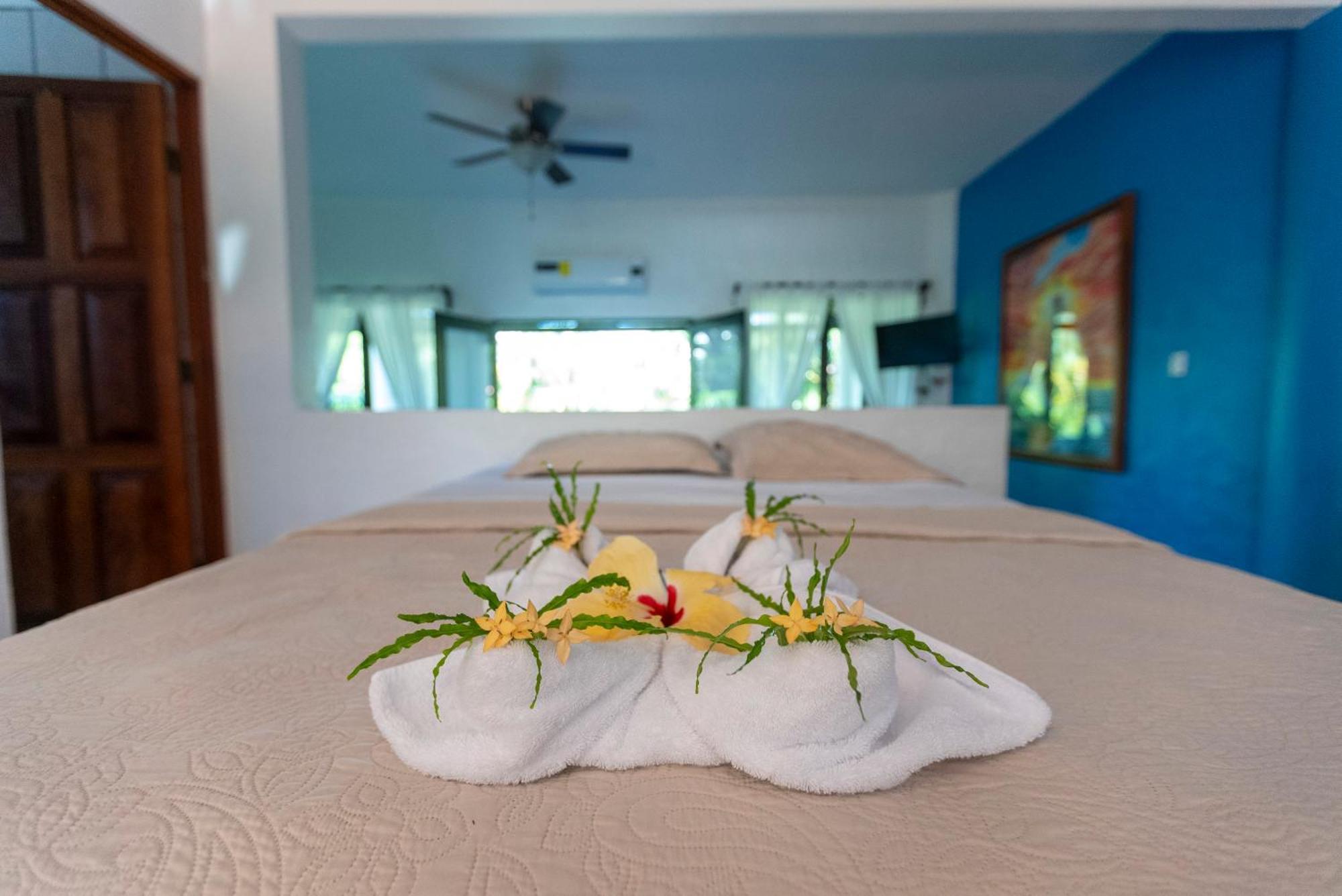 מנואל אנטוניו Condiminium Villas Mymosa מראה חיצוני תמונה