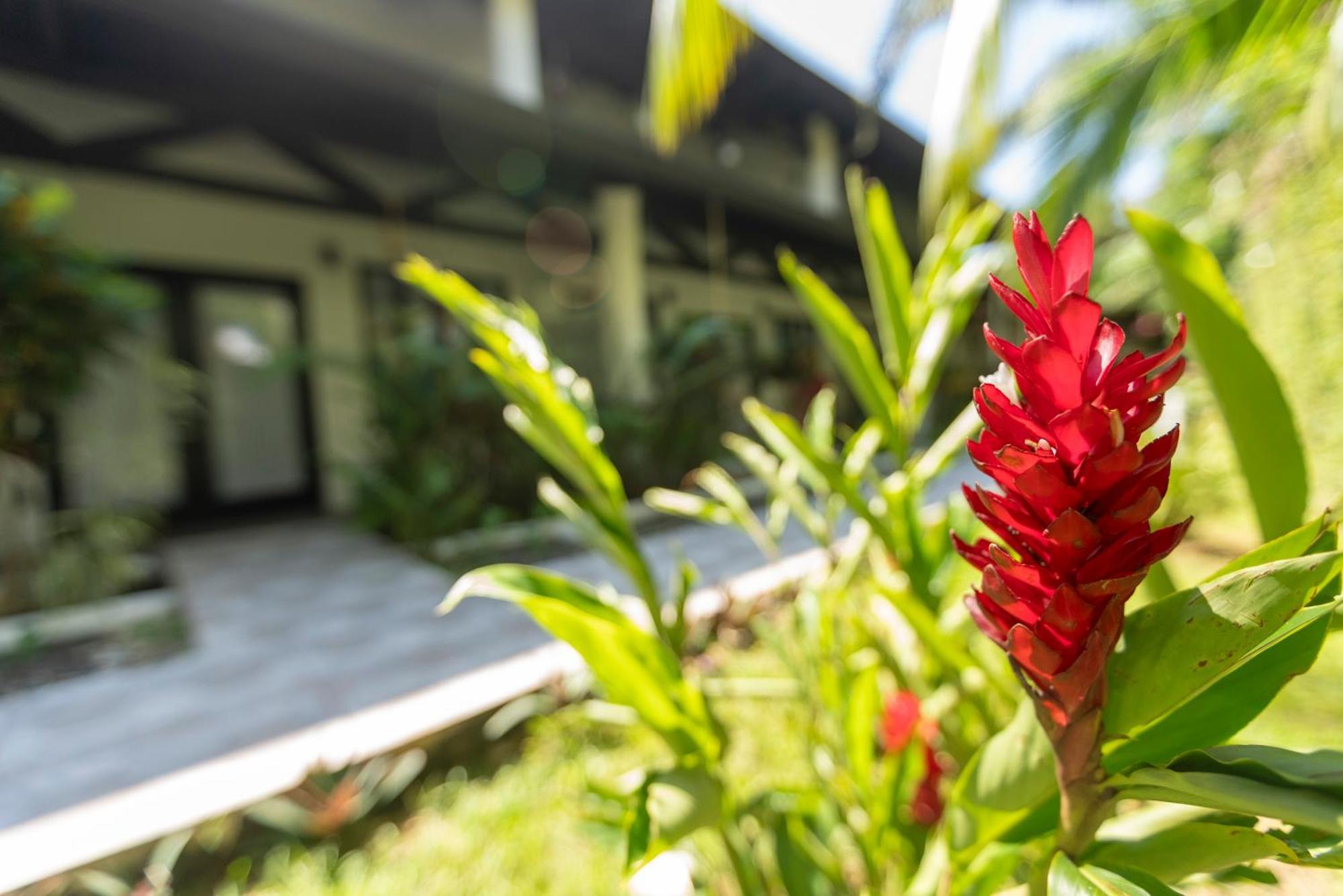 מנואל אנטוניו Condiminium Villas Mymosa מראה חיצוני תמונה